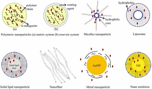 Figure 3 Nanoparticle drug delivery systems for α-mangostin.