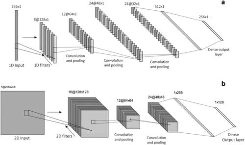 Figure 3. Examples of 1D and 2D Convolutional Neural Networks. (a) 1D input is filtered 8 times, producing, after a pooling layer, 8 filtered arrays with 128 x 1 elements; (b) 2D input is filtered 16 times, producing, after a pooling layer, 16 filtered images: each with 128 x 128 elements. In both configurations, the processing continues until a dense output layer is used to produce the desired output.