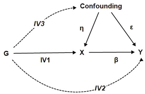 Figure 1 A directed acyclic graph representing the MR framework.Notes: IV1: The G associates with the X (P<5E-8); IV2: The G should not straightforwardly associate with Y; IV3: The G should not associate with any confounding factors.Abbreviations: MR, Mendelian randomization; G, multiple single nucleotide polymorphisms; X, exposure; Y, outcome; η, the correlation coefficient of confounding factors and exposure; ε, the correlation coefficient of confounding factors and outcome; β, the causal effect estimate of the exposure and outcome.