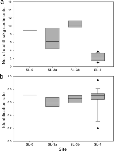 Figure 15. Differences in average density of otoliths (a) and identification rate (b) for the sampled sites. Bulk samples from the same site are grouped, and samples containing fewer than 10 otoliths are excluded. Box plots with lower (25th percentile), median, and upper (75th percentile) boundaries, whiskers of 10th and 90th percentiles, and outliers (solid circle) outside of 10th and 90th percentiles are presented.