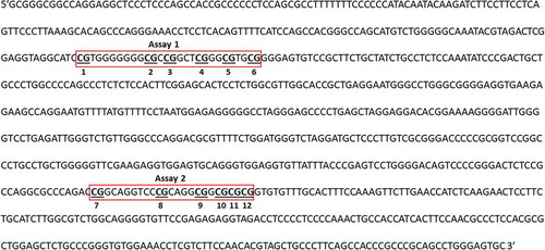 Figure 1. Promoter region of Caveolin-1 (CAV1: Chromosome 7, NC_000007.14 (116524785.116561185)) showing the CpGs chosen to be analysed (numbered 1 to 12 and underlined) and the location of each assay (Assay 1 and 2, red boxes) developed to pyrosequencing those CpG targets. Results were calculated by Paired T-test and are shown as average ± SE. * p ≤ 0.025
