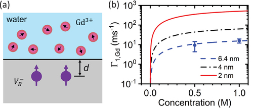 Figure 11. (a) Schematic of sensing paramagnetic ions in water with shallow spin defects with an average depth of in hBN. (b) Theoretical and experimental results of Gd3+ induced spin relaxation rates as functions of Gd3+ concentrations for spin defects at different depths. Adapted from [Citation36].