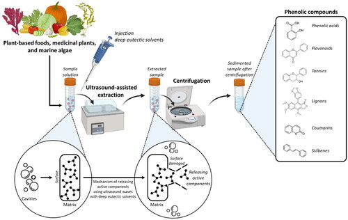 Figure 2. Ultrasound-assisted extraction with deep eutectic solvents (DES-UAE) process and extraction mechanism of (poly)phenols.
