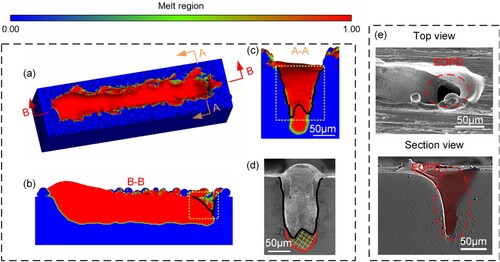 Figure 3. The melt track formation with laser power of 340 W and a scanning speed of 1.06 m/s. (a) Simulated 3D melt track. (b) Longitudinal cross-sectional view in the middle of simulated melt track. (c) Cross-sectional view of simulated melt track. (d) Cross-sectional view of the experimental melt track. (e) EOPD plots at another melt track with the same parameters.