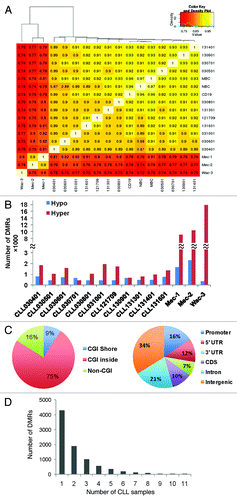 Figure 1. DNA methylation changes in CLL. (A) Pair-wise correlation coefficients matrix comparing DNA methylation between normal B-cells, CLL cell lines and primary CLL B-cells. A high similarity was observed among normal CD19+ B-cells (CD19), naïve (NBC) and memory B-cells (MBC), while CLL cell lines displayed significant differences when compared with the primary cells. (B) The number of DMRs identified in 3 CLL cell lines and 11 purified CLL B-cell samples when compared with three normal control samples. (C) Genome-wide distribution of 8703 DMRs that were identified in primary CLL samples. (D) Number of DMRs that are common among 11 CLL samples.