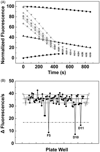 Figure 1. Activity-based high throughput screening (HTS) for the discovery of inhibitors of the RFK and/or the FMNAT activities of CaFADS. (A) Example of the flavin fluorescence evolution over time for three of the identified hits and for control assays. Reaction mixtures were incubated at 25 °C and contained 5 µM RF, 50 µM ATP, 0.4 µM CaFADS, 10 mM MgCl2, in PIPES 20 mM, pH 7.0, 2.5% DMSO. The black symbols and lines correspond to kinetic traces at wells containing library compounds at 250 µM, while grey ones correspond to control wells. (B) Initial velocities (Δfluorescence/s) for the reactions in each of the wells of a HTS plate. Data from wells containing chemical library compounds are in black while controls are in grey. The solid line represents the average velocity obtained for the positive controls of the reaction and the dotted lines are the average velocity plus and minus the standard deviation. The letters and numbers indicate the position of the well in the plate (row and a column respectively) for each specific selected measurement. A bold dashed line indicates 50% the rates of controls.