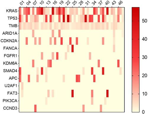 Figure 1 Next generation sequencing heat map of 48 patients.