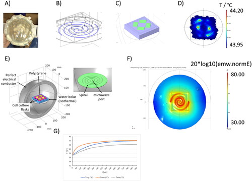 Figure 3. Simulation of heat application to cell culture medium with adherent cells in cell culture flasks with a microwave spiral applicator clinically used for the treatment of surface tumors. (A) Spiral applicator model in COMSOL (B) with spirals (blue), schematic cell culture flasks on the spiral applicator (C), exemplary temperature profile simulation with COMSOL (D), domain in COMSOL to calculate the microwave field (E) and exemplary E-field simulation with COMSOL with unit 20*log10(emw.normE) (F). The temperature profile from COMSOL simulations with 44 °C is shown in (G).