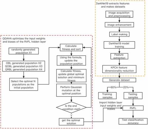 Figure 3. The flow chart of the RVFL fabric wrinkle rating model based on improved AHA optimization.