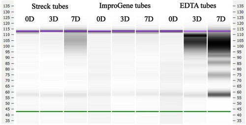 Figure 2. cfDNA fragment distribution of samples at different pre-analytical conditions. cfDNA fragment distribution of samples kept in EDTA, Streck, and ImproGene tubes for 0, 3, and 7 days were analyzed respectively. The High Sensitivity DNA Assay kit on the Agilent 2100 Bioanalyzer was used to analyze cfDNA fragments between 50 and 7,000 bp, according to the manufacturer’s protocol.