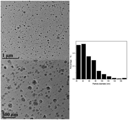 Figure 2. TEM images of the nanoparticles, and the particle size distribution.