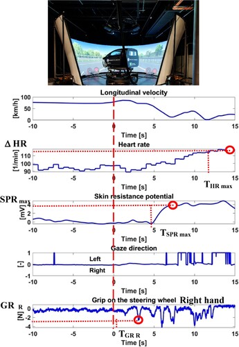 Figure 11. Driver in a dynamic driving simulator reacting to a stimulus occurring at time = 0s. The quickest biodynamic signal is the one of the grip force, measured by an instrumented steering wheel. Adapted from [Citation248].