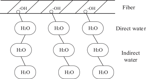 Figure 9. Schematic diagram of fiber moisture absorption.