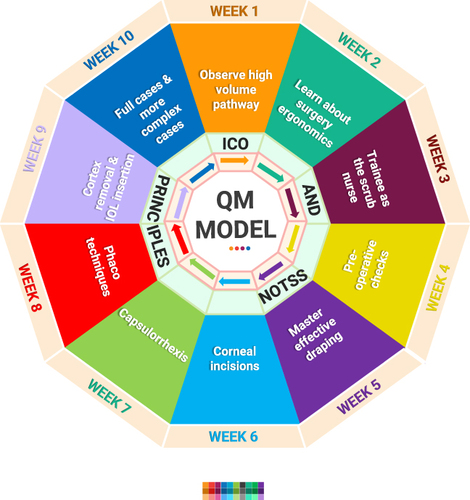 Figure 2 QM Model for Cataract Training.