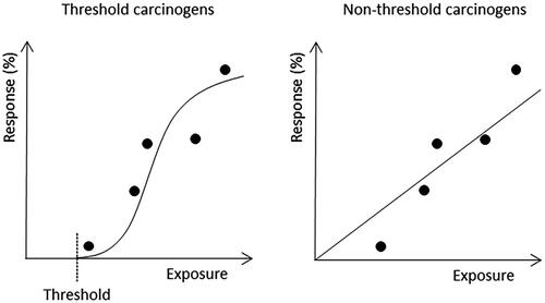 Figure 1. Dose–response curves for threshold versus non-threshold carcinogens with five empirically documented dose levels (dots). The response is expressed as the percentage of a population (humans or laboratory animals) affected. The curves show that, guided by mechanistic knowledge, the same empirical data can be interpreted differently.
