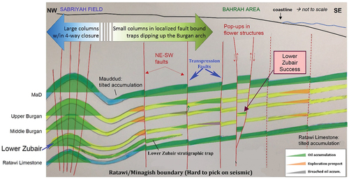 Figure 16. Scheme shows the structure and stratigraphic traps of the Cretaceous reservoirs in northern Kuwait. It’s showing that the traps are a mixed between stratigraphic pinch-outs, shallow marine to deltaic deposits and faulted anticline with a regional dipping of the strata.