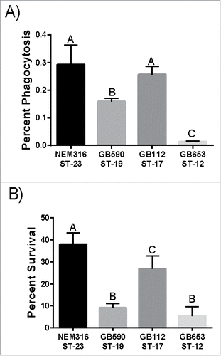 Figure 1. Phagocytosis and intracellular survival of diverse GBS strains in human macrophages. (A) Phagocytosis of GBS by macrophages after a 1 hr infection period. The number of phagocytosed bacteria was normalized to the total bacteria per well after the infection period to get percent phagocytosis. (B) Intracellular survival of GBS after 24 hr normalized to phagocytosis to account for differential uptake. Data represents the average of 3 separate experiments combined. Bars labeled with different letters are significantly different from each other.