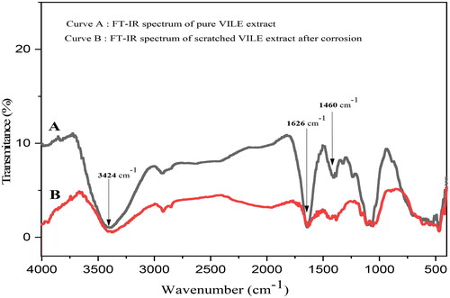Figure 11. (A) FT-IR spectrum of pure VILE; (B) FT-IR spectrum of scratched VILE after corrosion of MS surface.