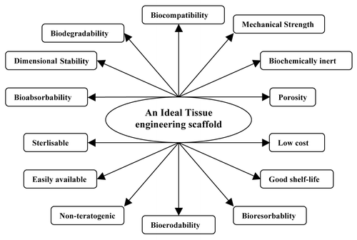 Figure 4. Essential characteristics of an ideal tissue engineering scaffold.