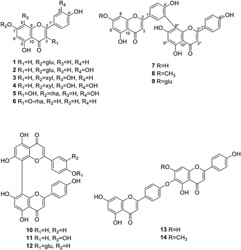 Figure 1. Structures of flavonoids isolated from J. chinensis fruit extract.