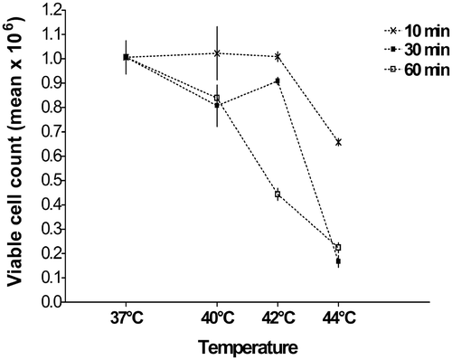 Figure 2. Survival of B16 cells after heat shock. Cells were heat-shocked in a water bath at indicated times and temperatures 24 h after seeding. After another 24 h, cells were harvested and viable cells counted. Heating for 30 min at 42°C showed no significant difference from 37°C control in cell viability (p = 0.24). All conditions were repeated in triplicates with mean values shown (±SEM).