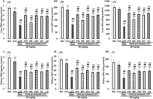 Figure 3. Effects of processed LGT treatment on glutathione-related antioxidants GSH (A,D), GST (B,E) and GPx (C,F) levels in liver and kidney of LGT-exposed S180 tumour-bearing mice. Significant differences compared with the normal (Nor) group were designated as Δp < 0.05 and ΔΔp < 0.01, with the control (Con) group as ##p < 0.01, and with LGT raw product group as **p < 0.01.