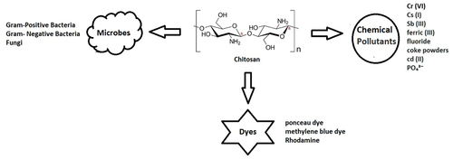 Figure 3. Chitosan based nano-complexes for water and environmental purifications.