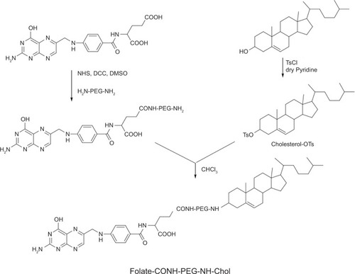 Figure 2 The synthesis of F-CONH-PEG-NH-Chol (folate-CONH-PEG-NH-Cholesterol).Notes: Folate was linked to PEG-bis-amine by an amide bond first. Then cholesterol–OTs was reacted with folate-CONH-PEG-NH2 to form folate-CONH-PEG-NH-Chol by C-N bond connection.Abbreviation: cholesterol-OTs, cholesterol-p-toluenesulfonate.