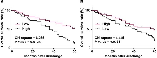 Figure 2 Low levels of PTCSC3 and Linc-pint in cancer tissue indicate poor survival. Survival curve analysis on 5-year follow-up data showed that low levels of PTCSC3 (A) and Linc-pint (B) in cancer tissue indicate poor survival.