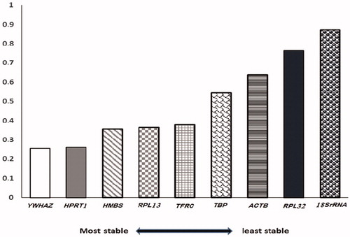 Figure 2. The overall result (mean) of the most stable reference genes in both ovary and uterus of heat-stress and control hens.