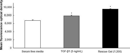 Figure 2 Mean fluorescence optical density measured in cultured neonatal human foreskin fibroblasts treated with TGF-β1 (positive control, n=8) or with or without Rescue Gel (1:200) following immunofluorescence staining for collagen type III.