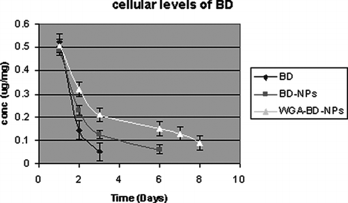 FIG. 1 Cellular levels of budesonide after treatment of A549cells with BD, BD-NPs, and WGA-BD-NPs.