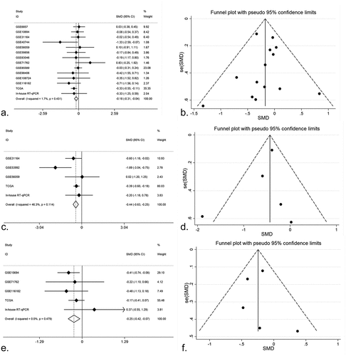 Figure 3. (a) An integrative analysis of miR-125b-2-3p based on gender group. MiR-125b-2-3p was lowly-expressed in female group. (b) Funnel plot of gender group. (c) An integrative analysis of miR-125b-2-3p based on tumor grade. MiR-125b-2-3p was lowly-expressed in poorly differentiated HCC tissue. (d) Funnel plot of grade group. (e) An integrative analysis of miR-125b-2-3p based on TNM stage. MiR-125b-2-3p was lowly-expressed in advanced TNM stages. (f) Funnel plot of TNM stage group