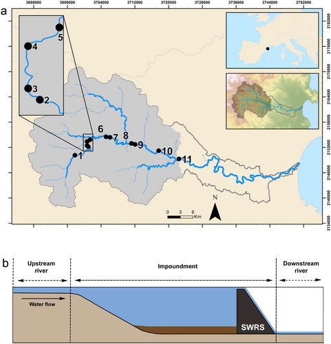 Figure 1. Location of (a) the Fluvià River catchment (northeastern Iberian Peninsula), with the position of the studied small water retention structures (SWRS; black circles, n = 11). See Table 1 for a detailed hydromorphological and physicochemical description of the waters impounded in the studied SWRS. (b) Scheme of a SWRS sampling unit (i.e., upstream free-flowing river, impounded water, and downstream free-flowing river) sampled at each study site.