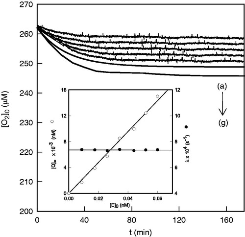 Figure 2. Oxymetric recordings of the suicide inactivation of tyrosinase in its action on TBF, varying the initial enzyme concentration. The experimental conditions are sodium phosphate buffer (pH 7.0) 30 mM, [TBF]0 = 0.5 mM, [TBC]0 = 25 µM and the initial enzyme (nM) concentrations are: (a) 0.008, (b) 0.017, (c) 0.026, (d) 0.034, (e) 0.044, (f) 0.052 and (g) 0.06. Inset. Representation of (ˆ) and (•) versus .