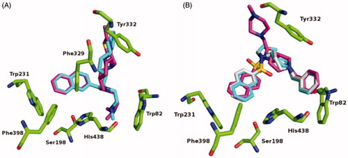 Figure 5. Alignments of crystal structures, with key residues in the active site, shown as green sticks. (A) Compound 2C (purple stick model; PDB code 6R6V) and parent naphthalene inhibitor 2 (cyan stick model; PDB code 5NN0) in their complexes with huBChE. (B) Compounds 3A (gray stick model; PDB code 6RUA), 3B (purple stick model; PDB code 6R6W) and parent sulphonamide inhibitor 3 (cyan stick model; PDB code 5DYW) in their complexes with huBChE.