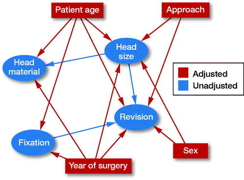 Figure 4. A directed acyclic graph (DAG) was constructed under the following assumptions:1) THA ‘revision’ is dependent on ‘head size’, ‘patient age’, ‘sex’, ‘year of surgery’, surgical ‘approach’, and type of THA ‘fixation’. Choice of ‘head material’ is not expected to affect ‘revision’ due to the short follow-up of the study.2) Choice of ‘head size’ is dependent on ‘approach’, ‘year of surgery’, ‘sex’, and ‘patient age’ as surgeons operating on older patients through a posterior approach have presumably chosen a larger head in order to, hopefully, reduce the risk of dislocation. Male patients, operated more recently, have probably received a larger head due to their larger acetabulum and because the use of larger heads has become more popular with time.3) ‘Fixation’ is dependent on ‘year of surgery’ and ‘age’ because patients operated more recently have probably received an uncemented THA, due to the popularization of this technique, and older patients have probably received a cemented THA due to their poorer bone quality.4) ‘Head material’ is dependent on ‘head size’ and ‘patient age’ because surgeons have probably chosen ceramic over metal heads in younger patients and when choosing larger heads due to the presumed lower polyethylene wear.Provided that our assumptions are correct, adjusting for ‘patient age’, ‘sex’, ‘year of surgery’, and ‘approach’ in the multivariable Cox regression model should block all backdoor pathways (for variables available in our database) confounding the effect of ‘head size’ on ‘revision’.