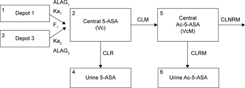 Figure S1 Schematic of final population pharmacokinetic structural model.