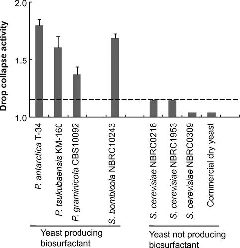 Fig. 3. Drop collapse activities of culture broths prepared with various yeast strains.Notes: Cultivation was performed with a screening medium (100 g/L of glucose, 1% FBE, 100 μL/mL of chloramphenicol, 100 μL/mL of streptomycin, pH 5.0) in a test tube at 28 °C for 2 d. Drop collapse activity was calculated from droplet diameters before and after cultivation. Error bars indicate standard deviation (n = 3).