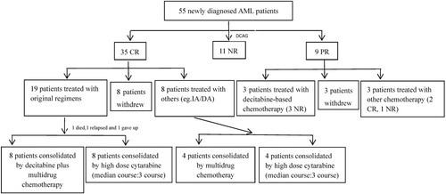 Figure 1. The process of treatment in 55 newly diagnosed AML.