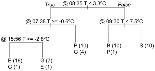 FIGURE 9. The classification results from the recursive partition decision tree analysis indicating the splits for separating the surface categories based on the difference between surface temperature and the air temperature at 1 cm height above bare soil (Fig. 8). Classifications are (B) boulder, (S) bare soil, (E) Eriogonum ovalifolium, (P) Penstemon heterodoxus, and (G) Poa glauca. Numbers in parentheses after each class indicate the number of instances of a location being classified into each category.