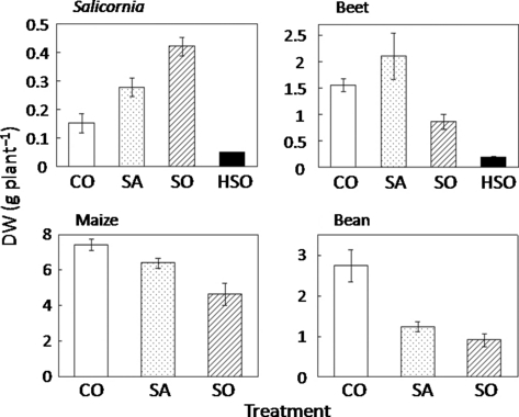 Figure 1 Shoot dry weight (DW) of each plant species. Values are mean ± standard error (n = 5). CO, control; SA, saline soil; SO, sodic soil; HSO, highly sodic soil.