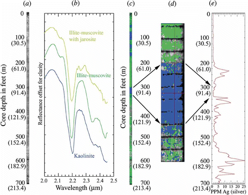 Figure 9. Scanned core TD006 image, spectral mineralogy and associated silver analysis are shown. The left grey-scale image (a) is the full 700 ft (213.4 m) of core stacked by depth (band 195 at 2.196 μm is shown). (b) Endmember spectra extracted from the core data using the methods in the text. (c) Mixture tuned matched filtering (MTMF) mineral map of the entire 700 ft (213.4 m) of core. Colours correspond to the endmember colours shown in (b). (d) Zoomed portion of the mineral map around one of the kaolinite occurrences. Arrows from (c) to (d) show approximate depth relationship of the subset image to the full core. (e) Silver (Ag) concentration in PPM down the core as determined using atomic absorption (AA) elemental analysis. Arrows from (d) to (e) indicate approximate depth correlations between the mineral map subset and the elemental analysis. Chips were acquired and depths originally measured in feet and this is how they are marked in the core boxes and in the figure. Approximate equivalent depths in metres are shown in parentheses.