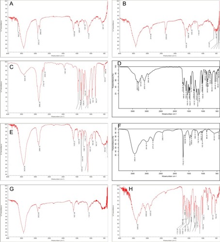 Figure 4 FT-IR spectra of pristine CNTs (A), purified CNTs (B), pure PEG (C), SFN (D), CNTs-COOH (E), CNTs-COCl (F), CNTs-PEG (G), and CNTs-SFN (H).