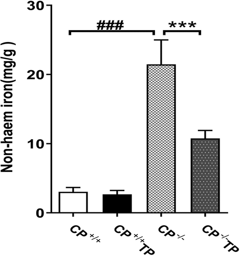 Figure 1. Non-Haem iron determination in liver tissue. The levels of non-haem iron were detected in the liver tissue of both CP+/+ and CP−/− mice with or without TP treatment. CP−/− mice showed significantly increased hepatic non-haem content compared with CP+/+ mice (CP−/− vs. CP+/+: P <0.001), while this increment could be alleviated by TP treatment (CP−/− TP vs. CP−/−: P <0.001).Figura 1. Determinación de los niveles de hierro no hemo en el tejido hepático. Se detectaron los niveles de hierro no hemo en el tejido hepático de ratones CP+/+ y CP−/− con o sin tratamiento con TP. Los ratones CP−/− presentaron un contenido hepático de hierro no hemo significativamente mayor que el de los ratones CP+/+ (CP−/− vs. CP+/+: P < 0.001; este incremento pudo paliarse con el tratamiento con TP (CP−/− TP vs. CP−/−: P <0.001).