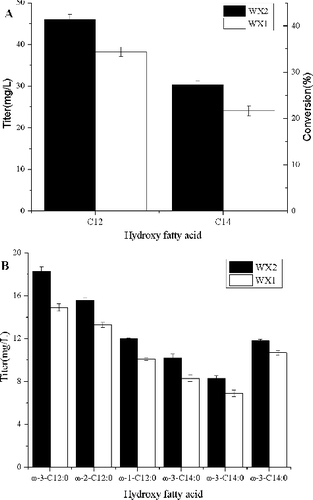 Figure 1. Total HFA production and theoretical yield by engineered E. coli strains WX1 (employing yetO) and WX2 (employing P450BM3). Both the WX1 and WX2 cultures were supplemented with 0.5 mmol/L C12 and C14 FFAs. WX2 produced more HFAs than WX1. The hydroxydodecanoic acid (C12) was the major HFAs in both cultures of WX1 and WX2. The error bars represent the range from two independent experiments.