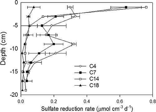 Figure 2.  Vertical profiles of sulphate reduction rates (SRR) in the upper 18 cm sediment. Sulphate reduction was not measured in Coliumo Bay. The error bars represent the standard deviation of the SRR measurements.
