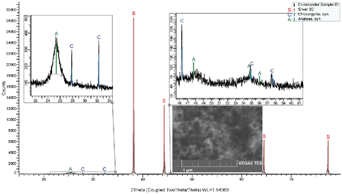 Figure 7. XRD pattern and SEM image (inset) of the sample Ti19F, TR = 600°C, QR = 1200 cm3/min, PTTIP = 1.9 Pa, cO = 12 vol %, A denotes anatase, C chlorargyrire, and S silver.