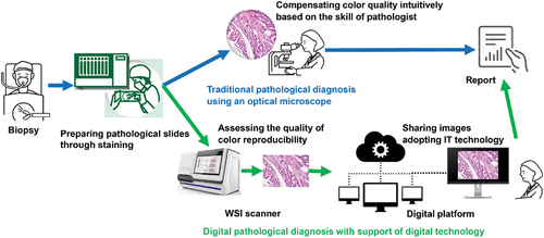 Figure 1. Conceptual comparison between the color management processes of traditional and digital pathological diagnoses.