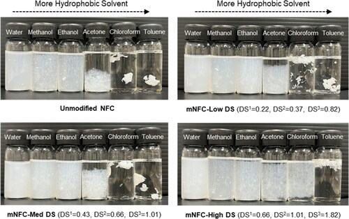 Figure 6. Dispersion of NFC and mNFC with different DS levels in solvents ranging in the order of decreasing polarity.
